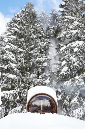 un miroir devant un groupe d'arbres couverts de neige dans l'établissement Marmotte Mountain Retreat, à Chamonix-Mont-Blanc