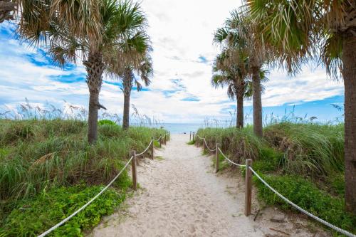 a path leading to a beach with palm trees at Casablanca Residences Miami Beach in Miami Beach