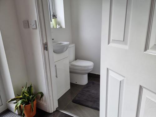 a white bathroom with a toilet and a sink at 3-bedroom home with large garden and free parking in Loughton