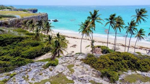 an aerial view of a beach with palm trees at T.Cole’s Holiday Rental in Saint James