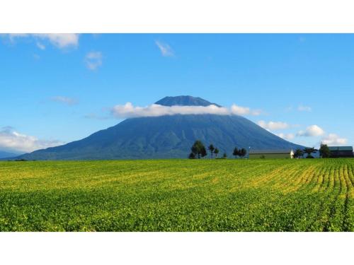 a mountain in the distance with a field of crops at Skye Niseko - Vacation STAY 30764v in Niseko