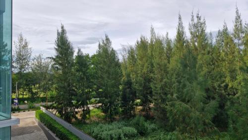 a row of trees in a garden at Ban View Viman Condo in Hua Hin