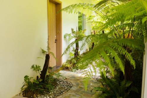 a garden with plants in front of a door at Haven in the Pines in Ðinh An (2)