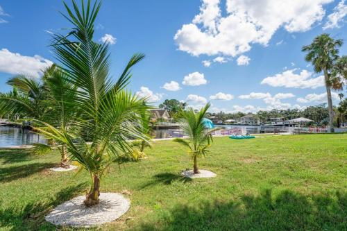 two palm trees in a field next to a body of water at The Mermaid on the Cotee River in Port Richey