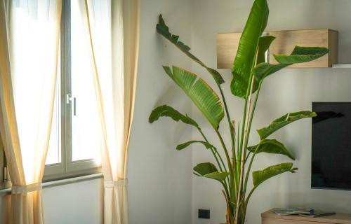 Imagen de la galería de Netik Apartment, en Cortona