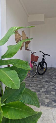 a plant with butterflies on it next to a bike at Peaceful 2BR House with Rice Field View Near Beach & Local Spots in Mendaya