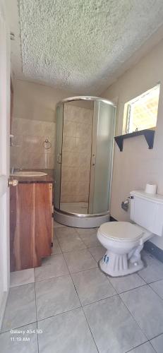 a bathroom with a shower and a toilet at Casa Mariner Resort in Good Hope