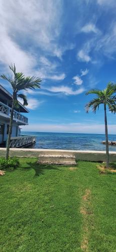 two palm trees next to a beach with the ocean at Casa Mariner Resort in Good Hope
