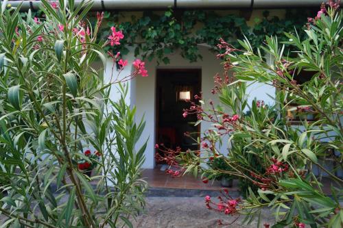a room with a bunch of plants and flowers at Cseresznyés Vendégház in Szomolya
