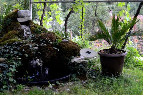 a plant in a pot in a garden at Guest House Konjic in Konjic
