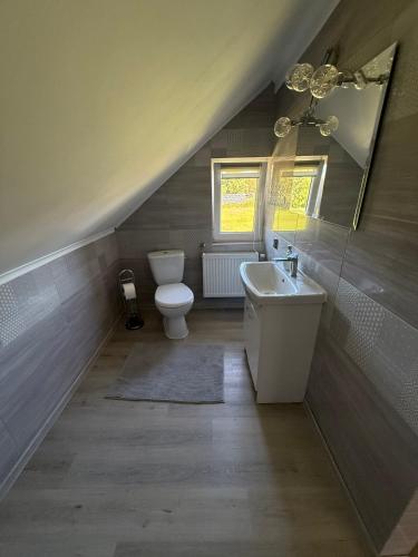 a bathroom with a toilet and a sink and a mirror at Pod Podwijką in Jeleśnia