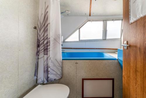 a small bathroom with a toilet and a window at Penichette Odyssey Croisieres in Bellegarde