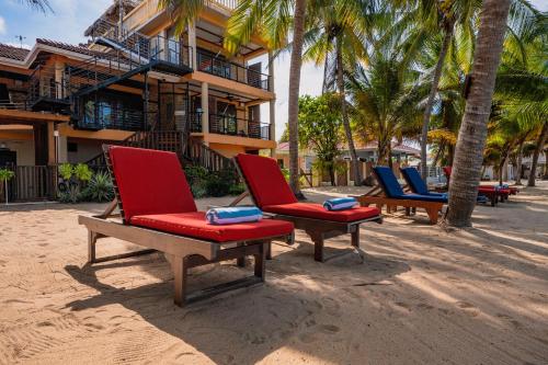a row of chairs on a beach with palm trees at Buttonwood Belize in Hopkins