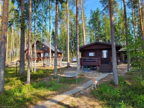 Příroda nedaleko chaty