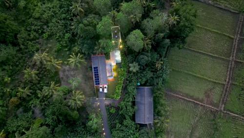 an overhead view of a house in the forest at TRES Galle in Galle