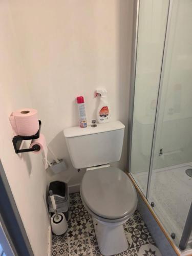 Ένα μπάνιο στο Cozy studio, 5 min from Cosne train station, 3rd floor