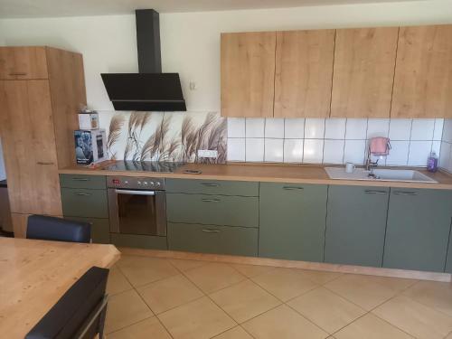 a kitchen with green cabinets and a sink at Idyllic apartment in Bavaria, near Munich, Freising, Erding 