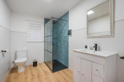 a bathroom with a toilet and a sink and a mirror at Casa adelfas in Granada