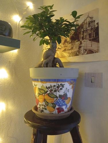 a potted plant sitting on top of a stand at INTERO APPARTAMENTO catania policlinico in Gravina di Catania