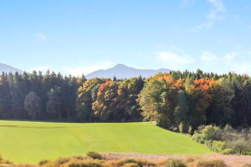 a green field with trees and mountains in the background at Landhaus Perktold in Nesselwängle