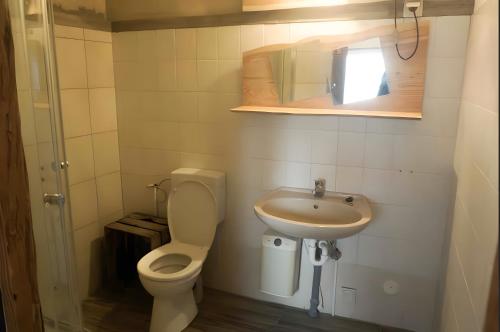 un piccolo bagno con un water e un lavandino di Fuchsbau In Der Ktv a Gehlsdorf