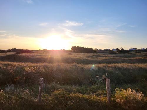 a field of tall grass with the sun in the sky at La marine D'opale in Ambleteuse