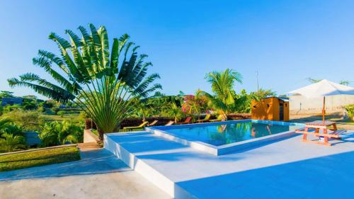 a swimming pool in a resort with a palm tree at belle villa neuve à NOSY BE Ambaro avec 4 chambres in Ambaro