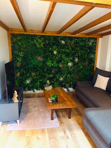 Ecrin de verdure Hyper centre avec jardin commun