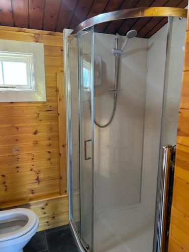 a shower in a bathroom with a toilet at Eryri Retreat in Trawsfynydd