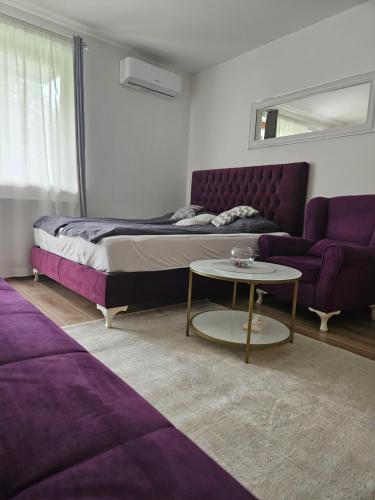 a bedroom with a bed and a couch and a table at Vlašićka idila apartman Eko Fis 507 in Vlasic