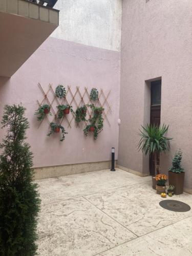 Photo de la galerie de l'établissement Kapetan-Misa, à Belgrade