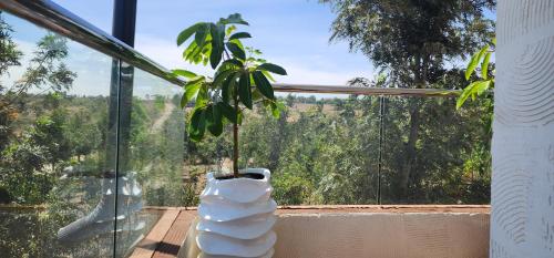 a plant in a vase sitting in a window at The Lantern Gardens - Oloirien in Kiserian