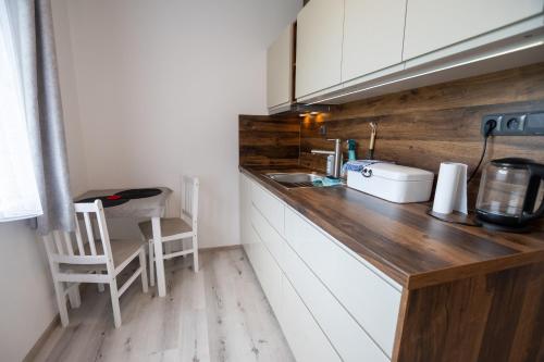 Kuchyň nebo kuchyňský kout v ubytování Apartmán Rokytnička