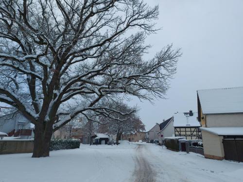 L'établissement Ferienwohnung 'Frühauf' im Südharz OT Uftrungen en hiver