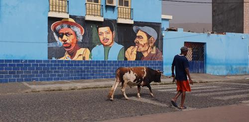a man walking a cow down a street with a mural at Residência Alto Saco, Double room with private bathroom in Tarrafal