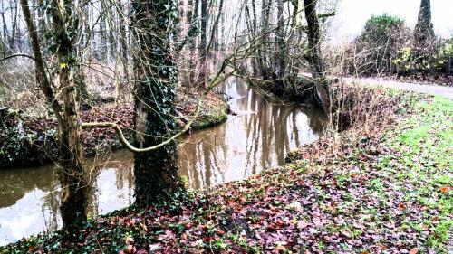 a stream of water with trees and leaves at Hemich-Esch in Velen