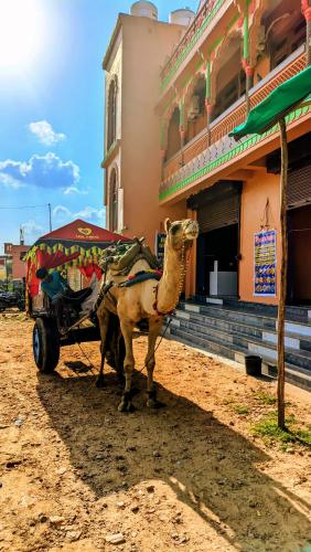 Galería fotográfica de Hotel Simran Desert View Haveli en Pushkar