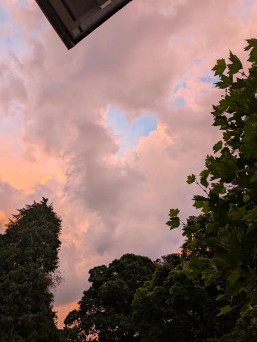 a group of trees with a cloudy sky at N13 Living in Wangen im Allgäu