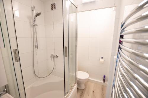 Koupelna v ubytování Apartmán Rokytnička