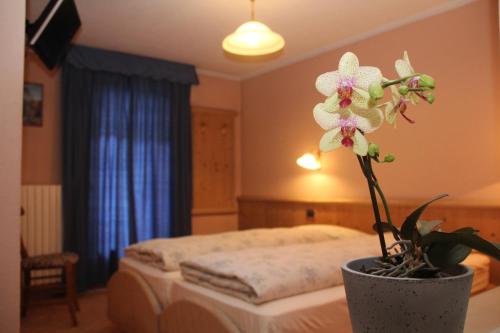 - une chambre avec un lit et une plante en pot dans l'établissement Albergo Caravasc, à Livigno