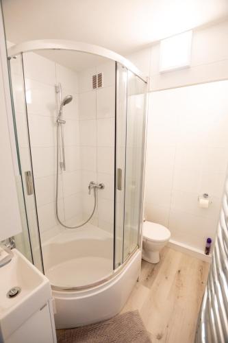 Koupelna v ubytování Apartmán Rokytnička