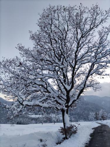 Cascina Bruna, un paradiso in Val Trebbia v zimě