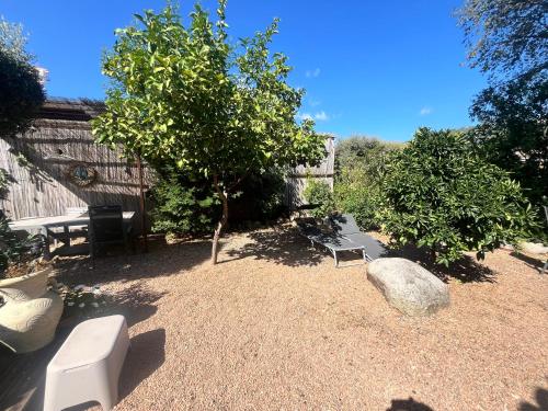 a yard with two benches and a tree and rocks at FIORINO in Sainte-Lucie de Porto-Vecchio