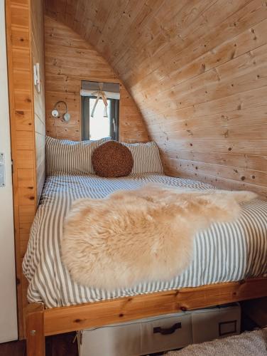 a cat laying on a bed in a wooden room at Strathyre Camping Pods in Strathyre