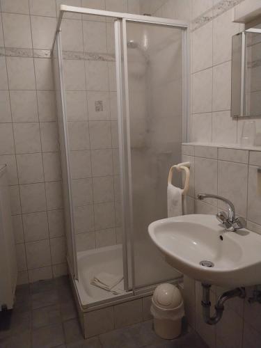 a bathroom with a shower and a sink at Gästehaus Langhammer in Bubenreuth