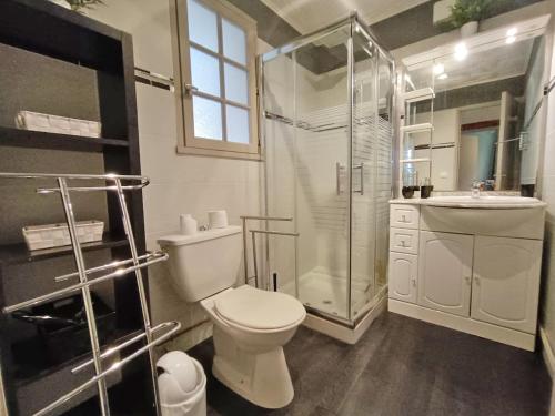 ein Badezimmer mit Toilette, Dusche und Waschbecken in der Unterkunft Le Saint M, T3, wifi, parking, jardin, Saint Mamet in Saint-Mamet