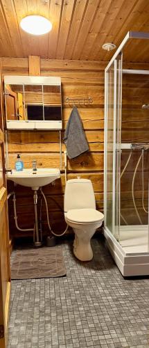 a bathroom with a toilet and a sink at Authentic Log Cottage with Hot Tub in Ranua