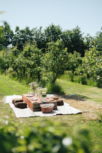 Φωτογραφία από το άλμπουμ του Eco Farm Camping 'de Waeldernis' σε De Waal