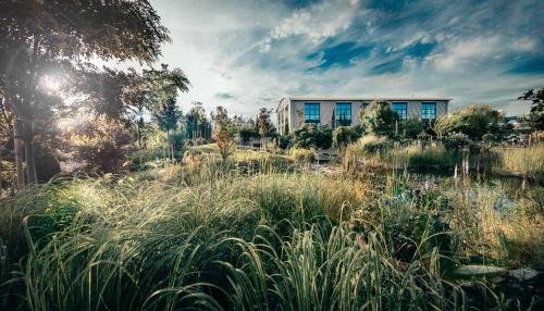 a building in the middle of a field with tall grass at Palazzo Verde in Würzburg in Würzburg