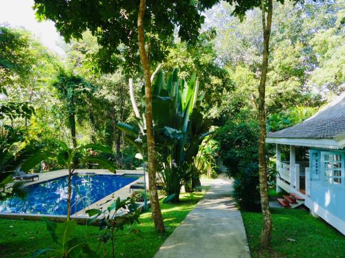 Bazen u ili blizu objekta Monoceros Resort